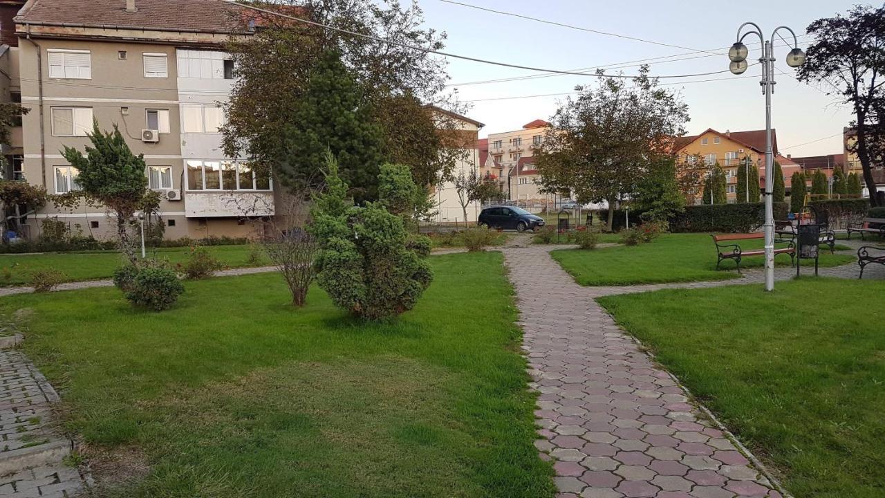 Apartament Ema Baile Felix Exterior photo
